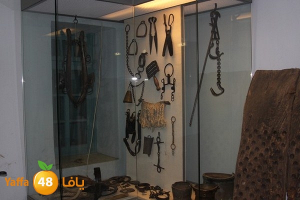 byareg 0226 (37).JPG